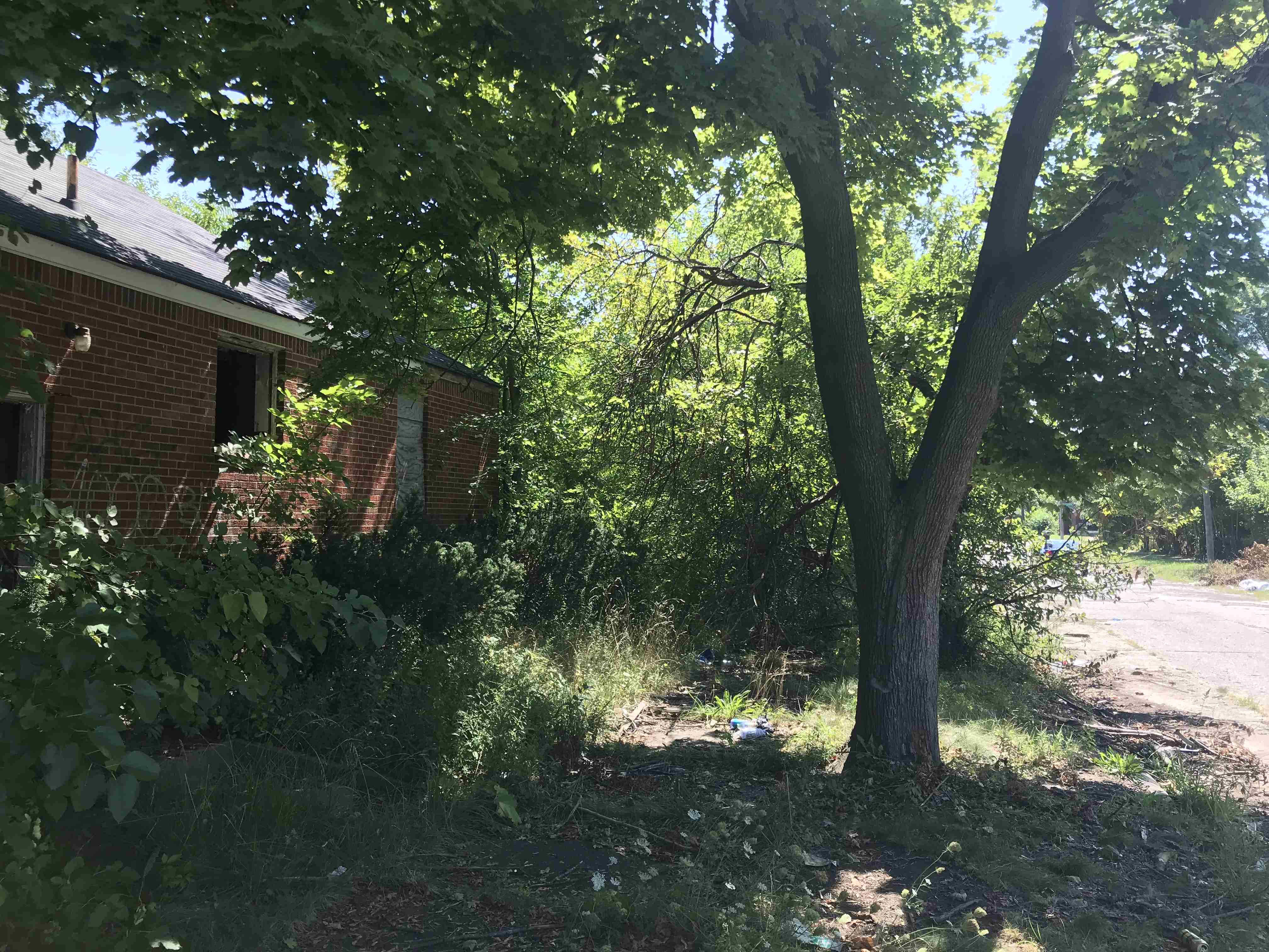 Photo Aug 21, 1 12 47 PM (1).jpg